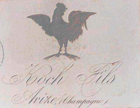 Champagne Koch Leaders in focus 1890